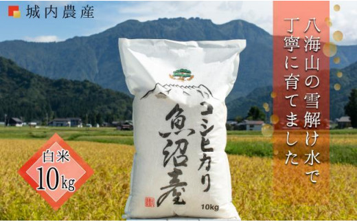令和５年度 南魚沼産コシヒカリ 無洗米１０ｋｇ 【５割減農薬