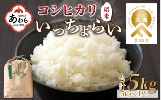 令和5年産】《定期便6回》いっちょらい 精米 5kg（計30kg）／ 福井県産