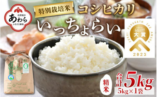 減農薬　有機栽培　新米コシヒカリ福井県産の令和５年産　玄米10kg　 管理番号2