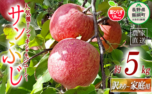 y쌧эjz tƂ炸 Tӂ 󂠂 5kg V_ ꌧւ̔zs 2025N11{2025N12{܂ŏ\ ߘa7Nxn  s S ь ʕ t