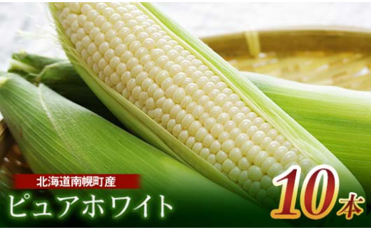 秀品 白いとうもろこし 20本 - 野菜