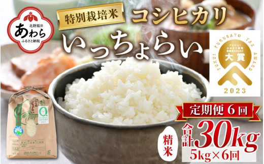 令和5年産】特別栽培米いっちょらい 精米 5kg×2袋（計10kg）／ 福井県