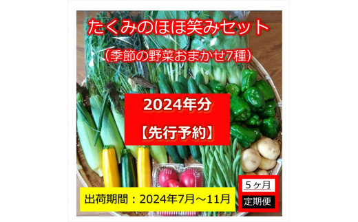 【先行予約】【５ヶ月定期便】たくみのほほ笑みセット（季節の野菜おまかせ７種）　＜出荷開始：2024年7月1日～2024年11月30日まで＞【 野菜  長野県 佐久市 】