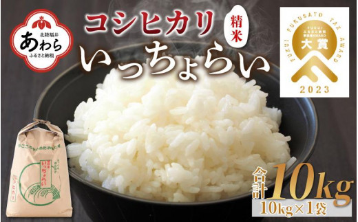 【令和5年産】いっちょらい 精米 10kg×1袋 ／ 福井県産 ブランド米