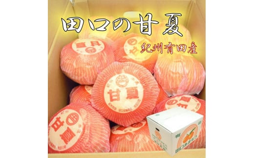 和歌山県産 田口の甘夏 秀品 10キロ 2Ｌ～3Ｌ（約23～21玉） サイズおまかせ