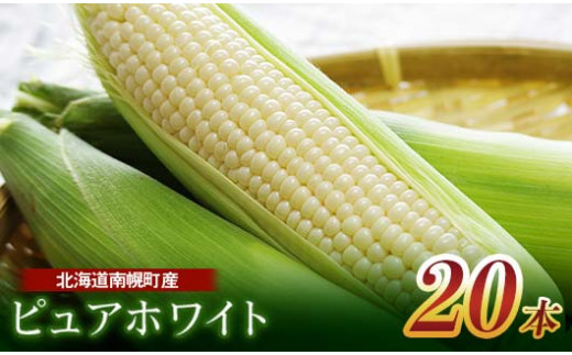 北海道産 とうもろこし ピュアホワイト20本 朝採り 生食 産地直送 数量