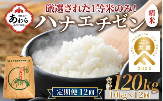 一等米】令和5年産 ＜定期便12回＞ ハナエチゼン 精米 10kg×12回