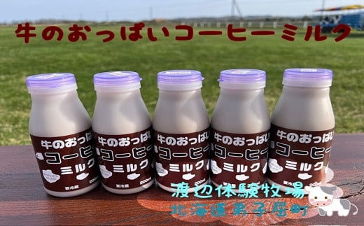 1852.牛のおっぱいコーヒーミルク５本セット 渡辺体験牧場 - 北海道