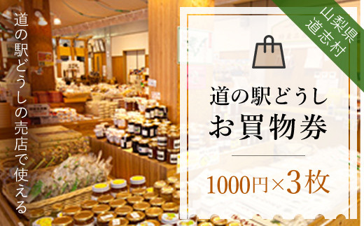 yRuz̉wǂ iRjw著s ӂ邳Ɣ[  VbsO`Pbg ̉w yY Mtg R u  DSH004
