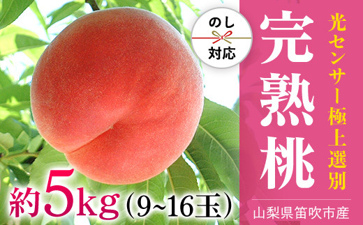 笛吹市産こだわりの桃 約5.0kg (9～16玉) - 山梨県笛吹市｜ふるさと