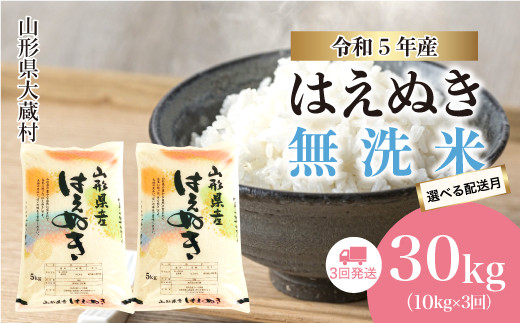 令和5年産 大蔵村 はえぬき 【無洗米】 定期便 30kg （10kg×1か