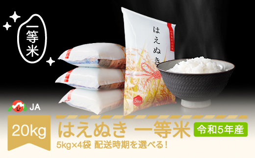 米 新米 20kg 5kg×4 はえぬき 精米 令和5年産 2023年10月中旬 ja