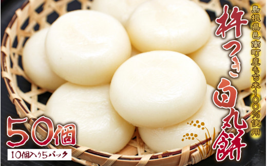 yW쒬znۖ݁@50 i105pbNj