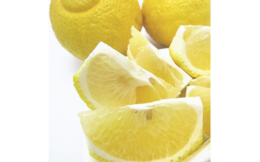ya̎Rlzys\zy_ƒzu₩JLc ͂邩݂iƒpj1.1kg 2026N1{`3{ɏ\ kCEnւ̂͂s