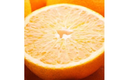 ya̎Rlz4蔭I ㊮n͂5kg+250giݕ⏞jyLc̏t݂E܌Eؐ͂zyZT[Iʁz