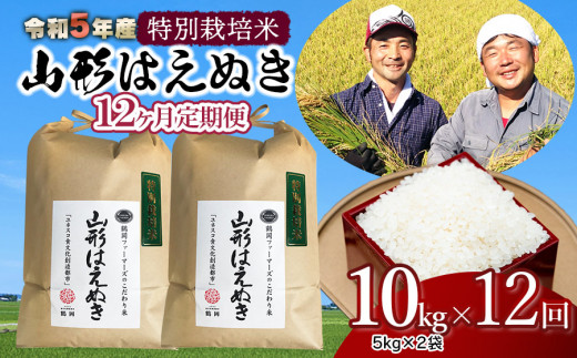 令和5年産 新米 特別栽培米 山形はえぬき 定期便 精米10kg(5kg×2袋)×12