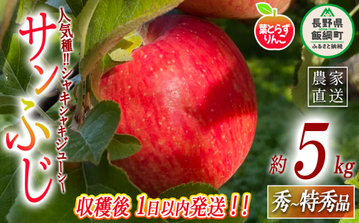 りんご ムーンルージュ 3kg やまじゅうファーム 沖縄県への配送 りんご ムーンルージュ 3kg やまじゅうファーム 沖縄県への配送