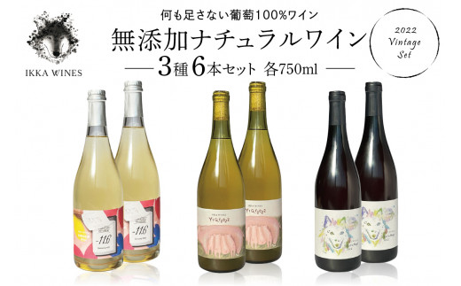 無添加ナチュラルワイン オレンジ『がらもぎ』2本セット IKKA WINES