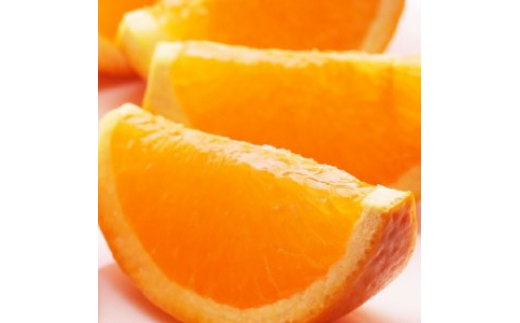 ya̎Rlz2蔭I IW2.5kg+250giݕ⏞jyZT[Hoׁzy㊮n݃IWE^S[Ez 2026N2{`3{ɏ