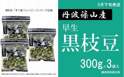 【2024年9月下旬発送】早生丹波黒枝豆300g×3（枝なし）