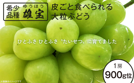 58-04雄宝（ゆうほう）皮ごと食べられる大粒ぶどう（約900g）【2023年9月中旬より順次発送予定】 - 茨城県阿見町｜ふるさとチョイス -  ふるさと納税サイト