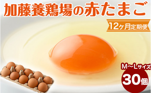 12か月定期便】高根沢町産 たまご 加藤養鶏場の赤たまご M～Lサイズ 30