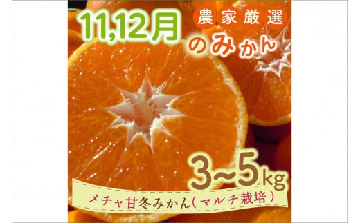 11月12月の御浜柑橘 メチャ甘冬みかん3～5キロ 果物 フルーツ みかん