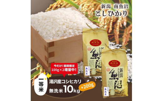 令和5年産【湯沢産コシヒカリ】＜無洗米＞10kg（5kg×2袋）魚沼最上流域