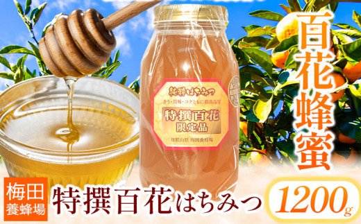 蜂蜜 特撰百花はちみつ 1200g 梅田養蜂場《90日以内に出荷予定(土日祝