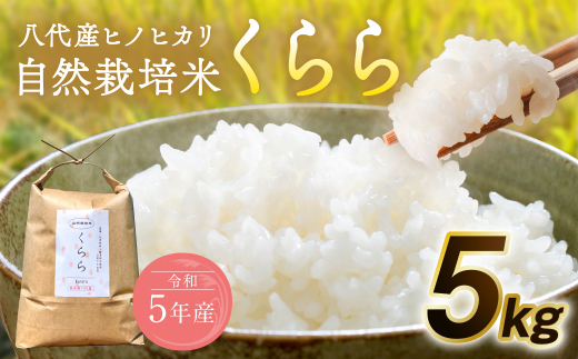 【先行予約】 令和5年産米 自然栽培米 くらら 精米 5kg 米 【2023年