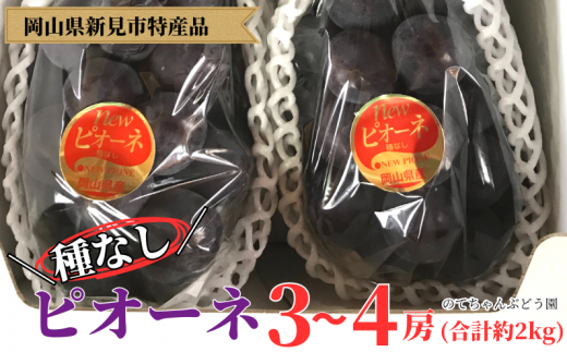 のてちゃんぶどう園 ピオーネ 約2kg 3～4房 【先行予約 2024年9月中旬から順次発送】 - 岡山県新見市｜ふるさとチョイス - ふるさと納税 サイト