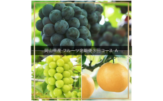 【岡山県和気町】vv-109【令和8年発送・先行予約】フルーツ定期便 全3回コースA