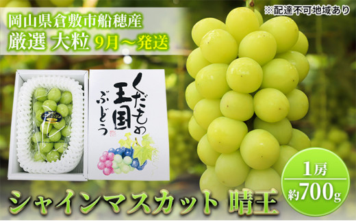 yRzy2026Ns\z Ԃǂ RY VC}XJbg  I 1[ 700g [ R q~s DY s2026N9{-10{oׁt  uhE t[c ʕ ʌ