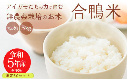 令和5年産】無農薬栽培 合鴨米ひのひかり5kg - 宮崎県高原町｜ふるさと