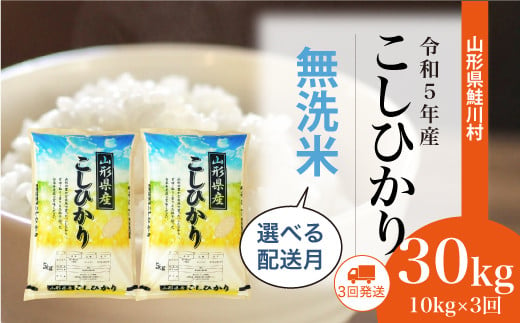 ふるさと納税 鮭川村 令和5年産コシヒカリ30kg定期便【無洗米】(10kg×3回)-