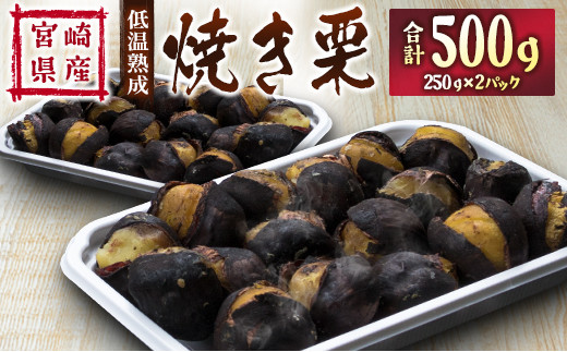 ＜先行予約＞宮崎県産 低温熟成栗［焼き栗］計500g（250g×2パック）【B617】