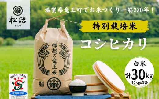 28年度 さぬき米 コシヒカリ30kg - 食品