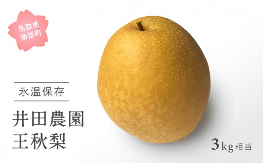 y挧암zyID03_03z挧암Y@c_̉H[]i3kgjߘa8N3oׁ