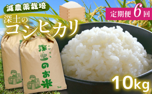 定期便6回 深土の特別米コシヒカリ 10kg×6(2ヶ月毎×6回) | 減農薬