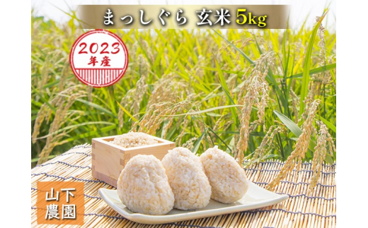 令和5年産 まっしぐら 玄米 5kg（5kg×1袋）※令和5年10月上旬より順次お届け 青森県鰺ヶ沢町産　山下農園