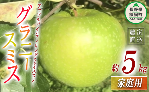 りんご グラニースミス 家庭用 5kg 丸西農園 沖縄県配送不可 2024年11 