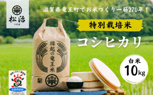 コシヒカリ 白米 10kg 縁起の竜王米 特別栽培米 ( 令和5年産 ブランド