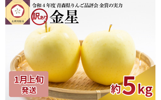 【青森県五所川原市】【2026年1月上旬発送】【訳あり】りんご 青森産 約5kg 金星
