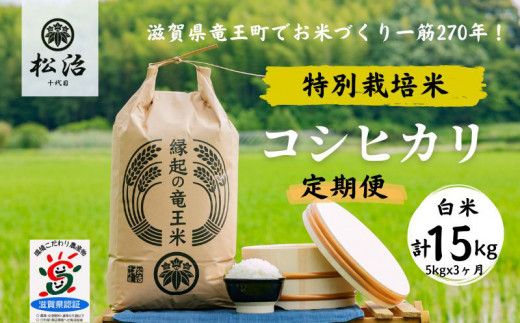 定期便 3ヶ月 コシヒカリ 白米 5kg 縁起の竜王米 特別栽培米 ( 令和5
