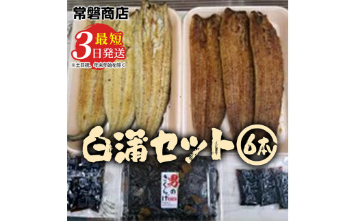 熟成 天然うなぎ 6匹 国産^ ^ - 魚介類