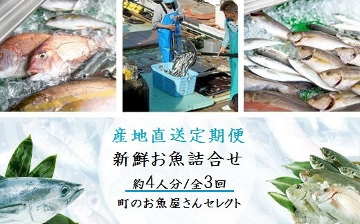 C09002 【3回定期便】魚屋さんの選んだ新鮮お魚詰め合わせ(約4人分) 【マルケイ水産】