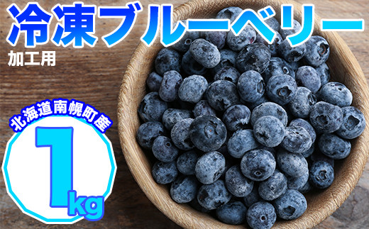 北海道南幌町産 冷凍ブルーベリー 加工用 1kg 7月下旬より発送 NP1-352