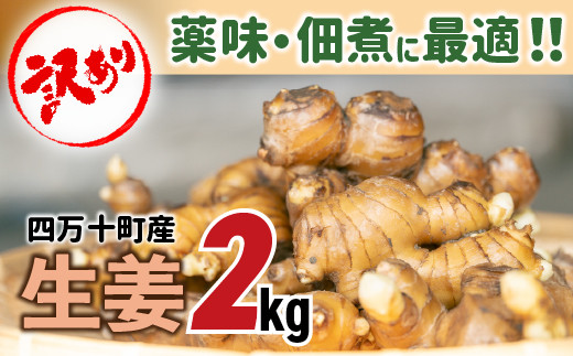 高知県四万十町産　種生姜14キロ