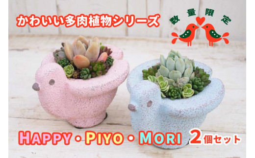 東北最大級のガーデニング専門店 厳選 かわいい多肉植物シリーズ 数量