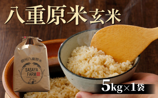 八重原米5kg（5kg×1袋）玄米